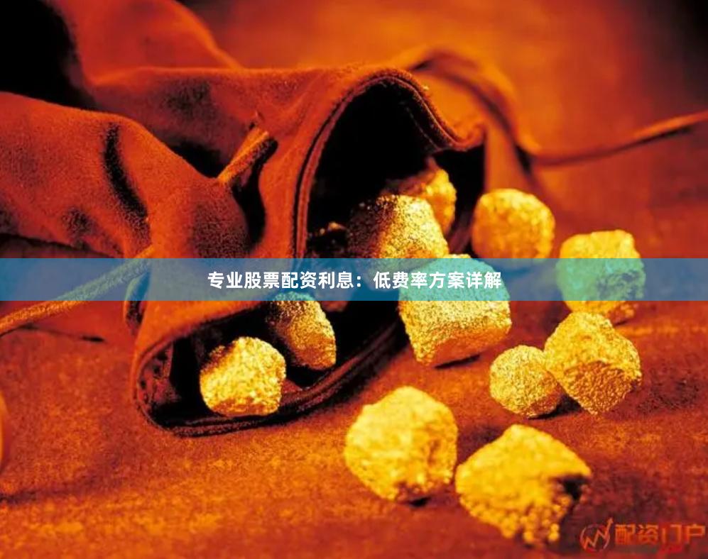 专业股票配资利息：低费率方案详解